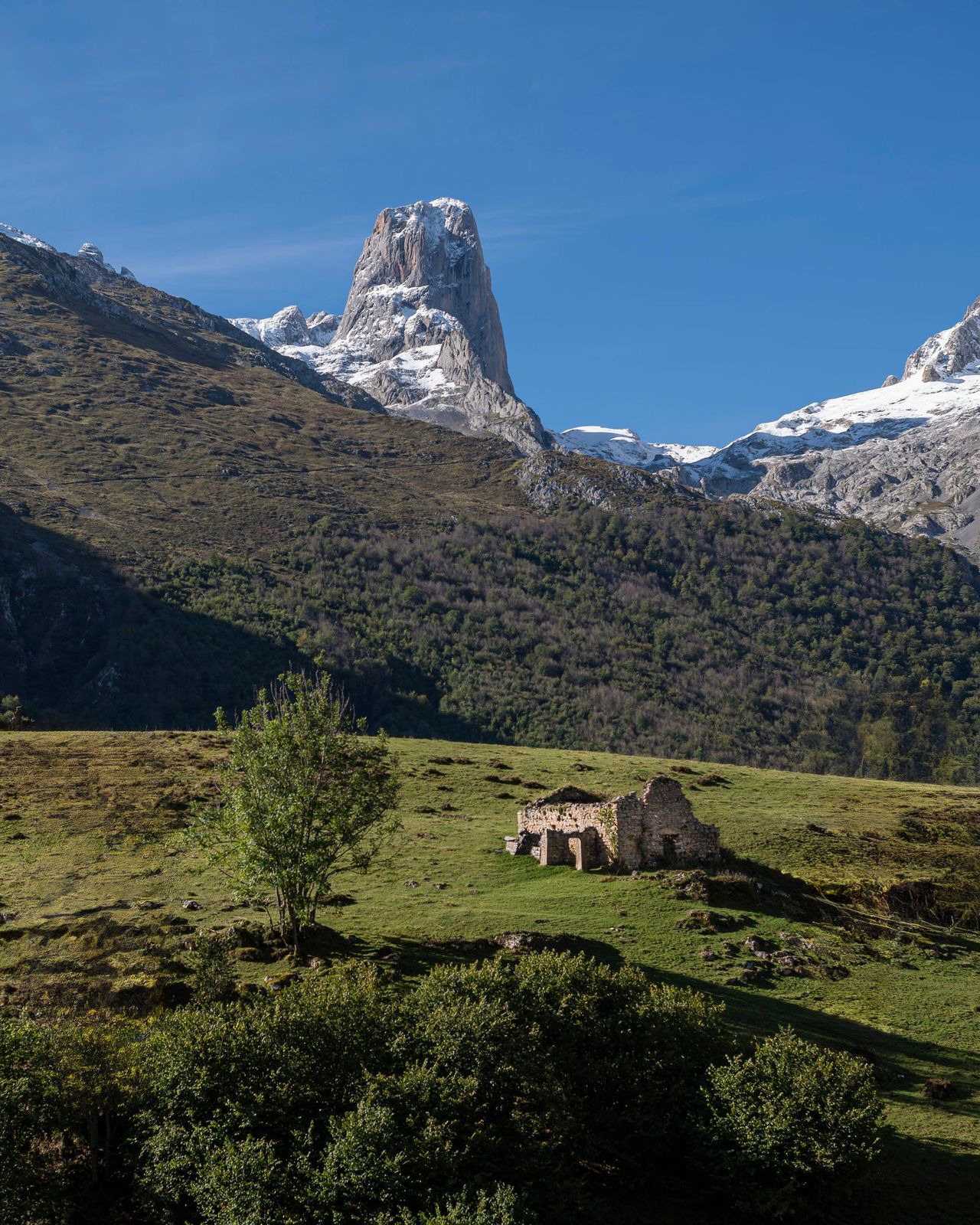 Picos de Europa