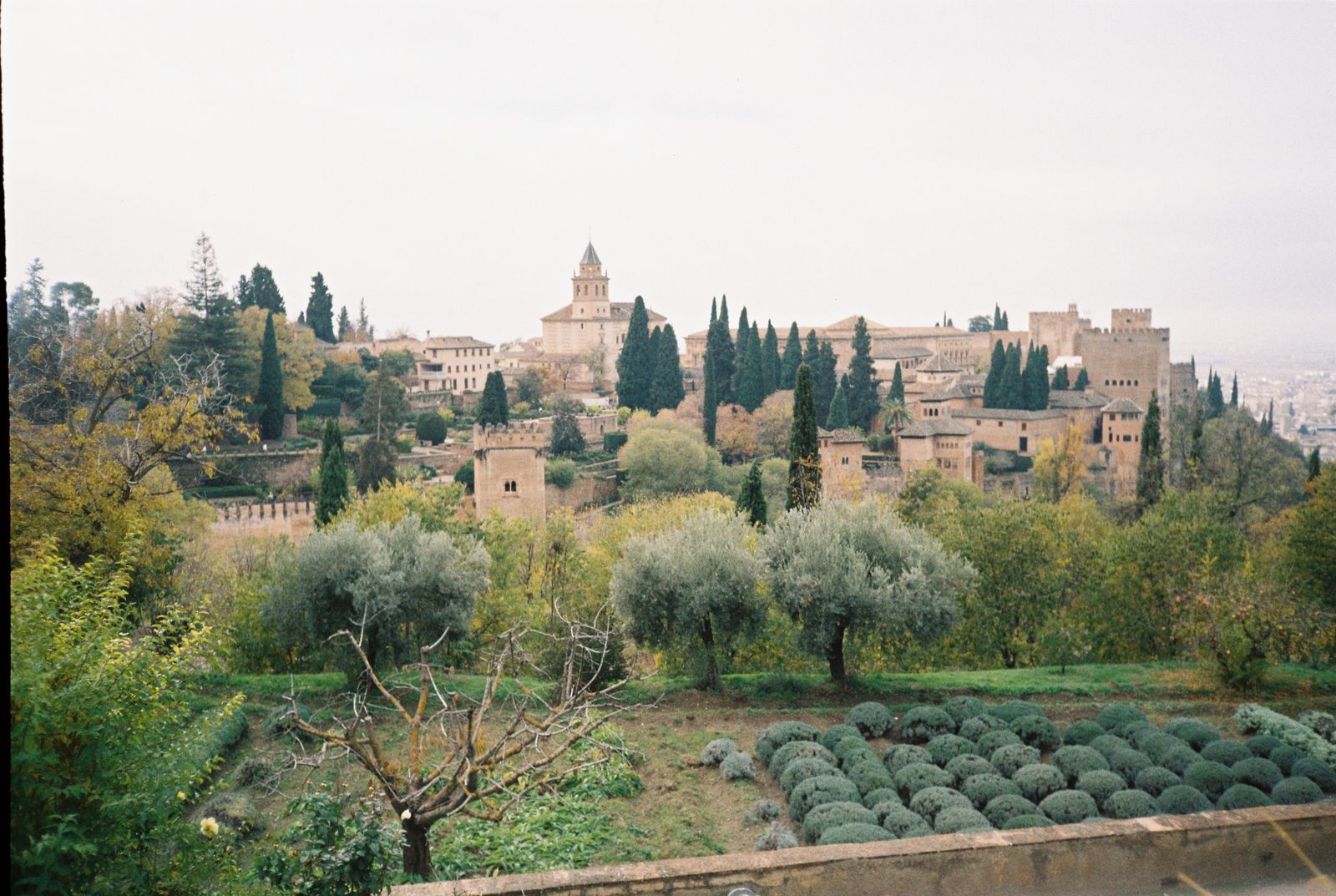 Granada cultural